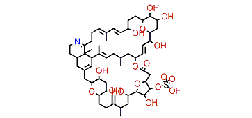 Prorocentrolide B